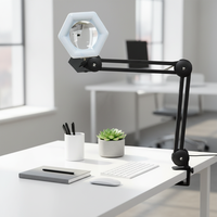Lampe Loupe Électrique LED Moderne Simple avec Bras Articulé Flexible, Lampe de Table en Aluminium USB à 3 Couleurs pour Salles de Lecture