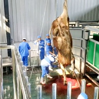 Équipement d'abattage, machine d'abattage du bétail pour abattoir de bovins