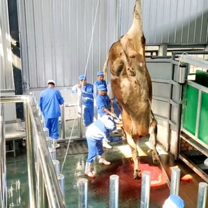 Attrezzatura per Macellazione, Macchina per la Macellazione del Bestiame per Mattatoi - Product Image 2