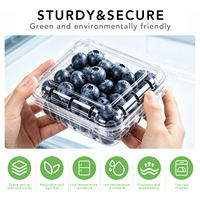 Boîte en PET pour fruits rouges à ouverture facile avec couvercle à charnière, pour myrtilles, framboises, fraises, fruits frais, qualité alimentaire, recyclable