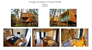 <span class=keywords><strong>Casa</strong></span> Prefabricada de Madera, Cabaña Pequeña Personalizada, Lista para Enviar desde China, Casas Prefabricadas para Familias, <span class=keywords><strong>Alquiler</strong></span> para Hoteles - Product Image 6