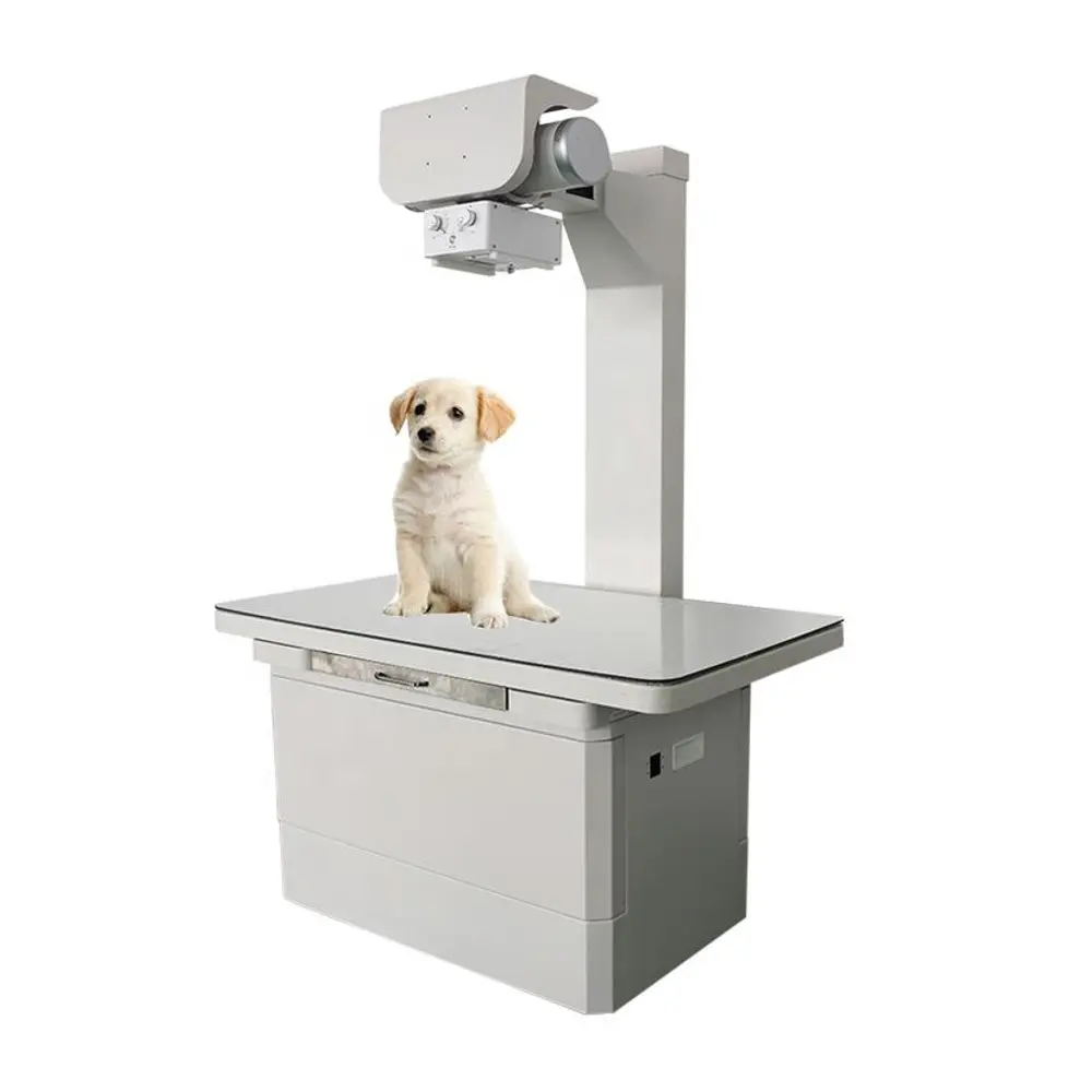 Hoogfrequente Veterinaire X-Ray Radiologie Apparatuur Mobiele X Ray Machine Voor Ziekenhuis