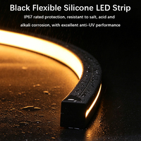 Bande lumineuse LED néon en silicone noir à longueur personnalisable, télécommande intelligente, intensité réglable, installation encastrée, diode LED pour panneau mural