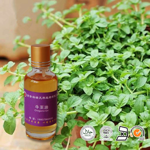 น้ำมันหอมระเหยออริกาโน่100% น้ำมันออริกาโนธรรมชาติบริสุทธิ์น้ำมันออริกาโน่คาร์วาครอล90% เกรดอาหาร - Product Image 5