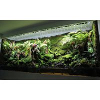Aquarium rectangulaire ultra-clair en acrylique pour algues marines, climat tropical de la forêt tropicale