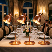 Lampe chauffante électrique rétractable en acier inoxydable couleur or rose pour restaurant et buffet à domicile