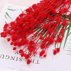 Fruit préservé de la Saint-Valentin et eryngo <span class=keywords><strong>Eryngium</strong></span> <span class=keywords><strong>foetidum</strong></span> de haute qualité les plus populaires pour la décoration intérieure - Product Image 4