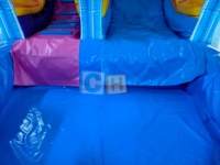 Toboggan aquatique gonflable pour enfants, toboggan aquatique gonflable d'extérieur, glissade aquatique gonflable