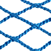 Enfants bleu 2mm 2cm Nylon PE PP filet de sécurité Anti-chute Trampoline escaliers avec filet de protection en maille sans nœuds