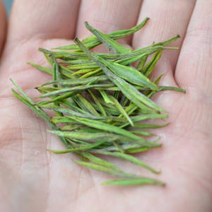 All'ingrosso cinese inizio primavera naturale <span class=keywords><strong>e</strong></span> dimagrante tè <span class=keywords><strong>verde</strong></span> Anji Bai Cha tè sfuso Anji bianco - Product Image 4