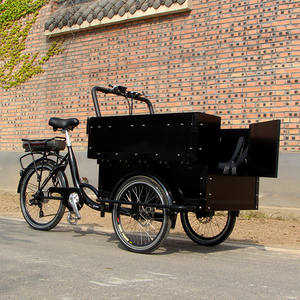 Tricycle électrique à chargement frontal avec grande caisse en bois, chariot de livraison à 3 roues, <span class=keywords><strong>prix</strong></span> usine - Product Image 3