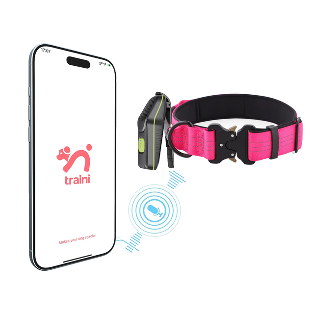 AI Pet Translation Tool Traini APP Pet Translation Dialogue Speaker Player Pet Collar Anti-Pulling Leash Handle Neck Collar
