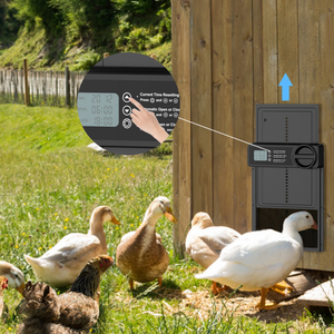 Puerta de gallinero automática de aleación de <span class=keywords><strong>aluminio</strong></span> inteligente Puerta de pollo automática de <span class=keywords><strong>aluminio</strong></span> - Product Image 6