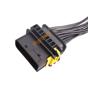 مخصص <span class=keywords><strong>2</strong></span>/3/4/6/8/12Pin Tyco أمبير ذكر أنثى مقاوم للماء تسخير الأسلاك تسخير للسيارة اليابانية - Product Image 3