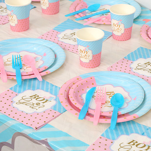 Assiettes jetables pour révélation du sexe du bébé, 10 assiettes en papier rose clair et bleu clair, décorations pour révélation du sexe garçon ou fille - Product Image 1