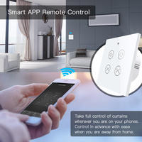 2 gang WiFi RF doppio Smart interruttori per tende accessori telecomando Wireless tapparelle Tuya/Smart life Alexa