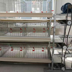 Jaula de Acero para Pollos/Pollos de Engorde, Nueva, de Alta Calidad, Duradera, en Forma de H, de Tres Niveles y <span class=keywords><strong>Dos</strong></span> Puertas, con Transportador, Vida Útil de 15 Años - Product Image 2