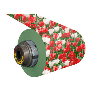 Bobina de acero recubierta de color prepintada PPGI o PPGL Fabricante de bobinas de acero galvanizado <span class=keywords><strong>Aluzinc</strong></span> recubierto de color - Product Image 3