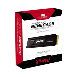 King DC2000B DC2000 240G 480G 960G DC3000ME U.2 3,84 TB 7,68 TB 15,36 TB 1TB 2TB 4TB 500GB FURY Renegade PCIe 4.0 G5 PCIe 5.0 SSD - Product Image 3