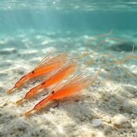 Mouches de pêche à la mouche en forme de crevettes, hameçons en nickel noir, fibres Mylar Flash, leurres bioniques pour la truite, le bar, le brochet, le saumon en eau douce et en eau salée