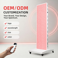 Usine de panneaux de luminothérapie rouge avec quantité, longueur d'onde, puissance et dimensions d'LED personnalisables