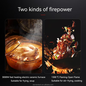 3500W 전기 세라믹 스토브 전기 불꽃 스토브 조합 타의 추종을 불가 한 화력으로 볶은 스튜 - Product Image 4
