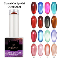 Poemyun Gel UV LED pour ongles effet œil de chat 12 couleurs, fournisseur, marque privée, OEM, ODM