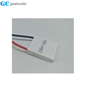 Nhiệt Cooler 20*20 Mm <span class=keywords><strong>Peltier</strong></span> Mô-đun TES1-04903 - Product Image 4