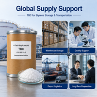 TBC de qualité industrielle pour styrène CAS 98-29-3 4-Tert-Butylcatechol Inhibiteur de polymérisation pour applications de production de styrène