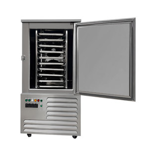 Commercial Kitchen Equipment 10-11 Pallet 300L-80L Fast Meat Food Blast Freezer - Product Image 3