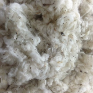 100% lickerin A และ b/card fly/ FLAT Strip cotton ของเสียจากเวียดนามราคาต่อรองได้-ส่งตรงจากมิสแคลร์ - Product Image 1