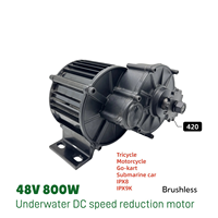 Vente Flash Moteur Électrique pour Bateau 500W 24V 36V 48V Étanche IP69 Technologie Brushless à Aimant Permanent pour Utilisation Sous-Marine