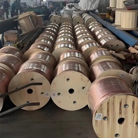 Fabricante de Alambres, Alambre de Latón Estañado de 0.1-1.2mm, Alambre Fino Estañado por Inmersión en Caliente con Soldadura para Cables Flexibles con Aislamiento de Goma