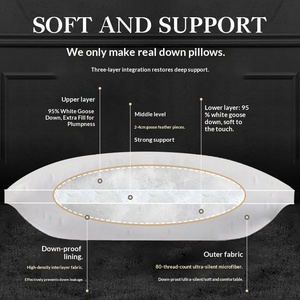 Almohada de Lujo Hilton con Relleno de Plumón de Ganso Blanco 95%, Funda de Algodón Puro, para Todas las Estaciones, Clase Cinco Estrellas - Product Image 3