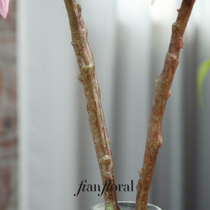 زهور الداليا الاصطناعية عالية الجودة من مصنع فونغ إيان، زهور حريرية تبدو طبيعية، الأكثر مبيعًا - Product Image 6