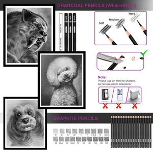 Kit de <span class=keywords><strong>dessin</strong></span> 58 pièces, ensemble de <span class=keywords><strong>crayons</strong></span> à <span class=keywords><strong>dessin</strong></span>, fournitures de croquis, <span class=keywords><strong>3</strong></span> carnets de croquis, <span class=keywords><strong>crayons</strong></span> à <span class=keywords><strong>dessin</strong></span> en graphite et fusain pour le mélange de couleurs - Product Image 3