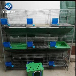 Büyük kapasiteli yumurta için pil kafesleri katmanları ticari tavşan kafesleri için ücretsiz kargo - Product Image 4