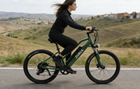 Vélo de montagne électrique sans balais personnalisable en alliage d'aluminium de 26 pouces, moyeu arrière 250W, batterie au lithium 36V 7.8Ah, 7 vitesses, tout-terrain