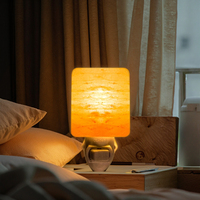 Lampe de Sel de Cristal de l'Himalaya avec Prise, Veilleuse Murale en Sel de Pierre, Certifiée ETL UKCA CE ROHS pour Chambre et Décoration Intérieure