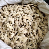 Bubuk Jahe Kering Utuh Tanpa Sulfur, Jahe Mentah Alami, Bumbu Kualitas Makanan, 50Kg Grosir Dari Guangxi Herbal Tea