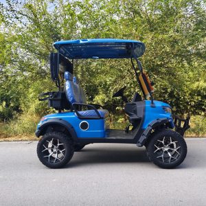 Carrito de Golf <span class=keywords><strong>El</strong></span>éctrico de 2 Plazas con Batería de Litio, Certificado por DOT, para Campos de Golf y Vecinados - Product Image 2