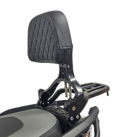 Accessoires de moto complets : Protections d'échappement, pare-chocs, appuie-dos et pièces arrière pour Qianjiang Hong 250 QJ250T-9