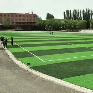 中国五人制草地迷你足球地毯足球场人造草合成草坪