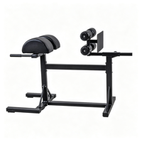 Chaise romaine réglable professionnelle pour salle de sport, banc d'hyperextension, machine d'extension dorsale, équipement d'entraînement de force en métal