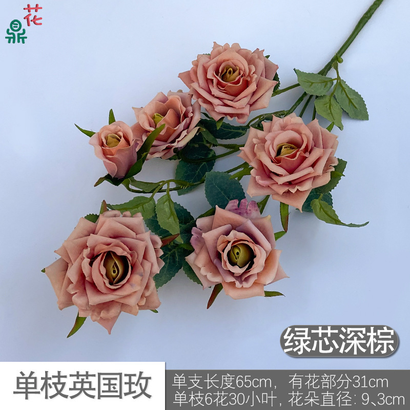 Rose britannique DG à tige unique, noyau vert marron foncé