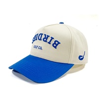 Gorra de Béisbol Bordada Impermeable de Alta Calidad, 6 Paneles, Unisex, Ajustable, de Lona de Algodón, Informal, para Primavera/Verano, Talla Adulto