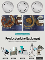 Ligne de production d'aliments pour poissons de 200-300 kg/h, ligne d'extrusion à sec avec broyeur, mélangeur, extrudeuse et sécheuse pour usine de fabrication d'aliments pour animaux