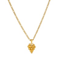 RVS druivenhanger ketting 18K PVD goud verguld, verkleurvrij, fruit charme ketting, modieus dames dagelijks sieraad cadeau