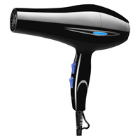 Secador de Pelo de Alta Potencia con Accesorios de Peinado, Secador Profesional para Hombres y Mujeres