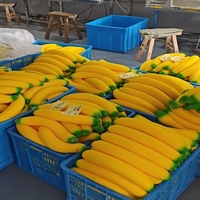 Prix direct usine, vente en gros : Balle anti-stress souple en plastique, jouet sensoriel à presser en forme de maïs